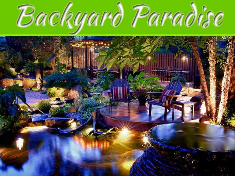 How To Turn Your Backyard Into A Paradise