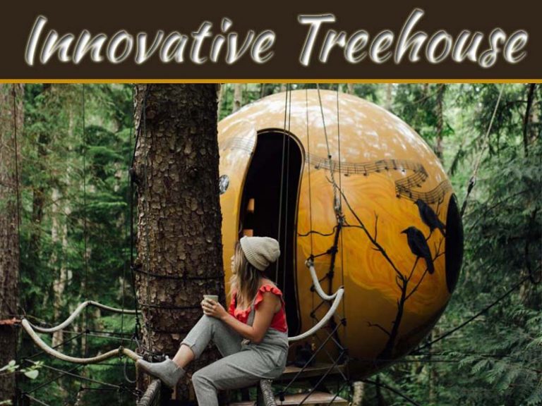 Treehouse For Your Innovative Kids