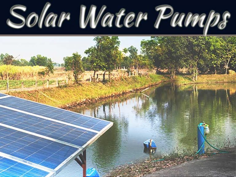 How Solar Water Pumps Can Revolutionize Agriculture In India