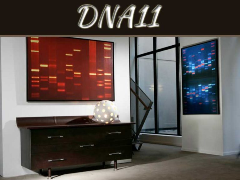 DNA11 Is Revolutionizing The Decor Industry With Personalized Wall Art