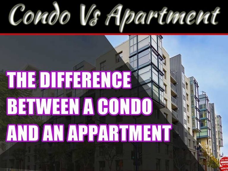 Should You Rent A Condo Or An Apartment?