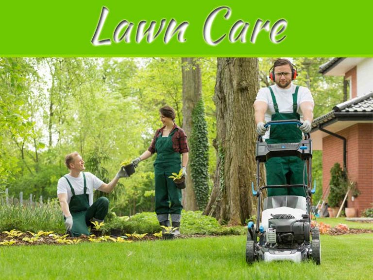 Top Secrets Why Hiring A Professional Lawn Care Service Provider Is the Only Option