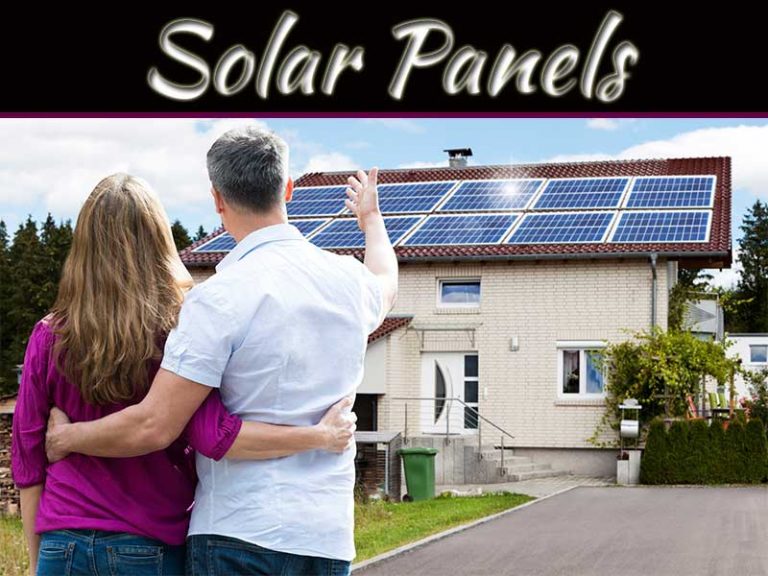 How Much Do Solar Panels Cost? A Guide