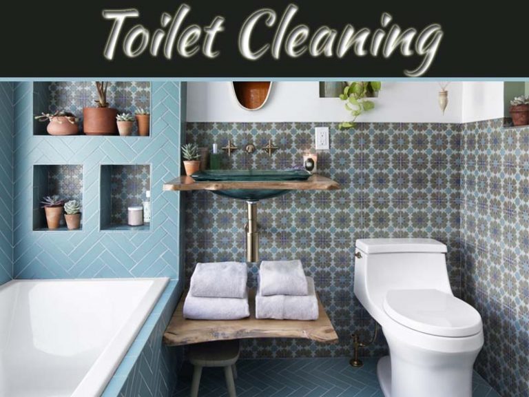 How To Clean A Toilet Seat?