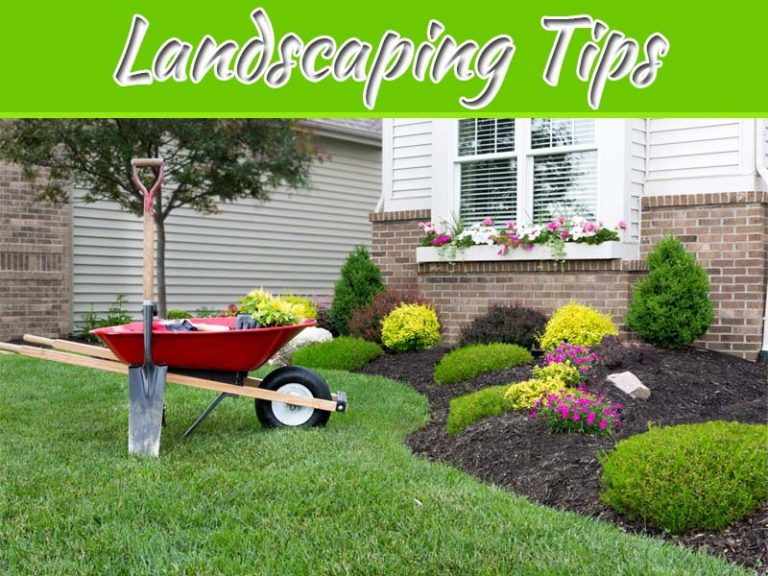 Landscaping Tips For Making Your Home More Energy-Efficient