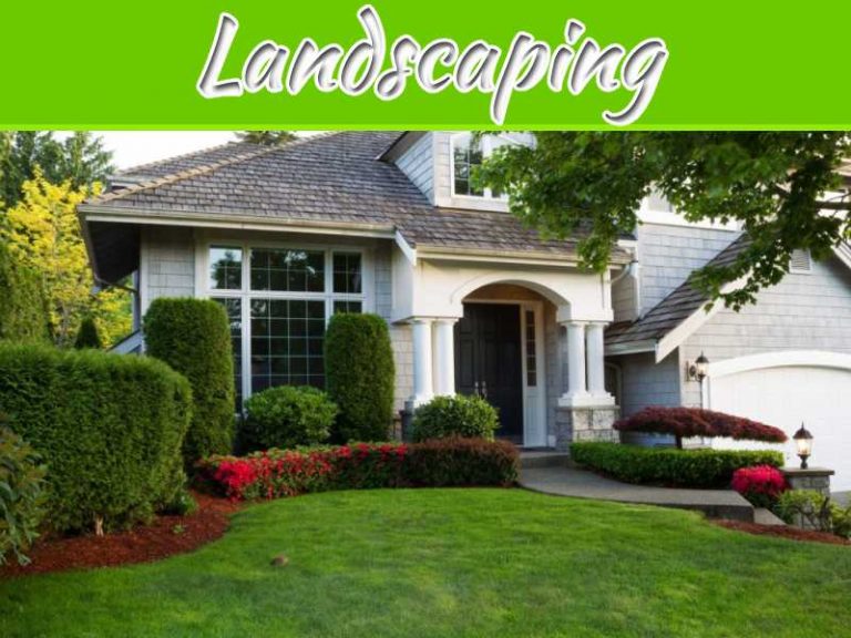 Best Method Of Preparing A Yard For Landscaping