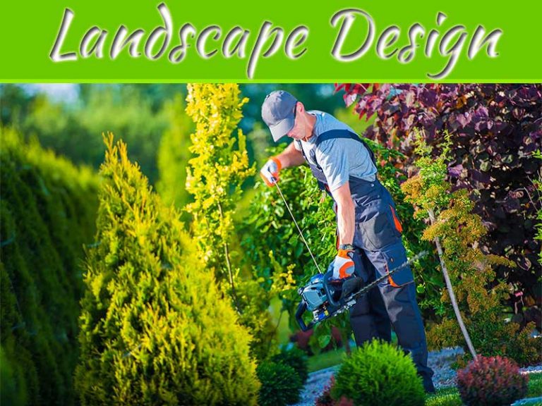 How Do You Create Successful Landscape Design In Florida? - From A Sarasota Landscape Designer