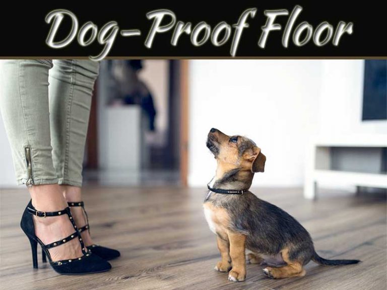 The Best Dog-Proof Flooring For Your Home