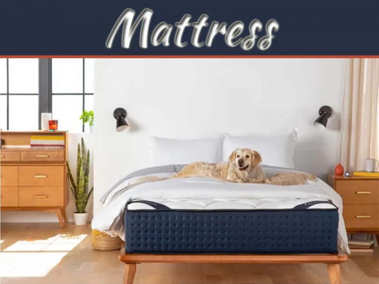 Twin Vs. Full Mattress: What Is Ideal For You
