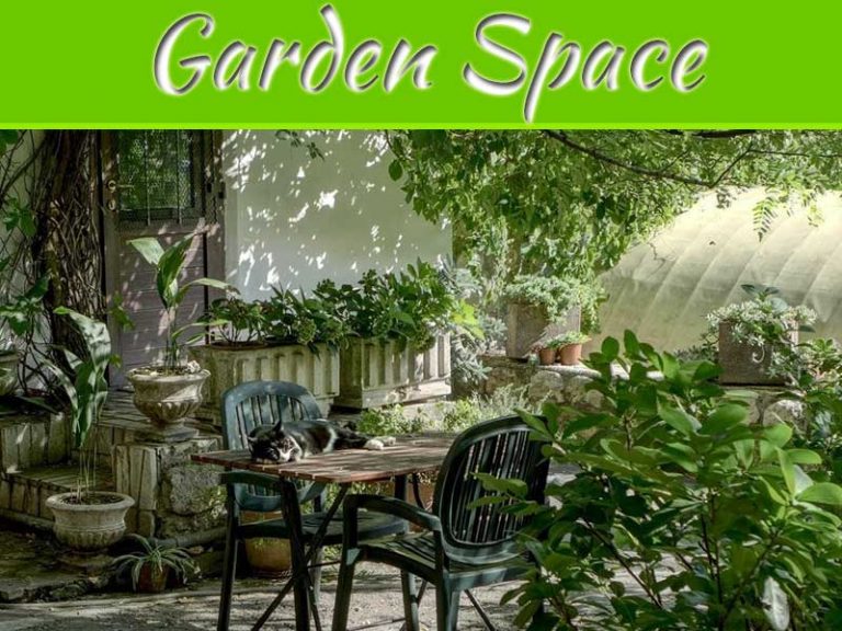 4 Ways To Create A More Comfortable Garden Space