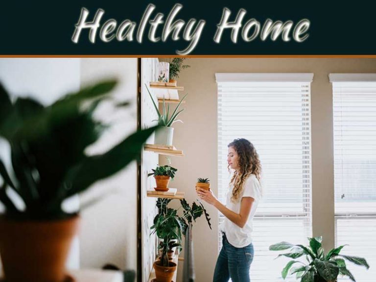 5 Maintenance Tips For A Healthier Home