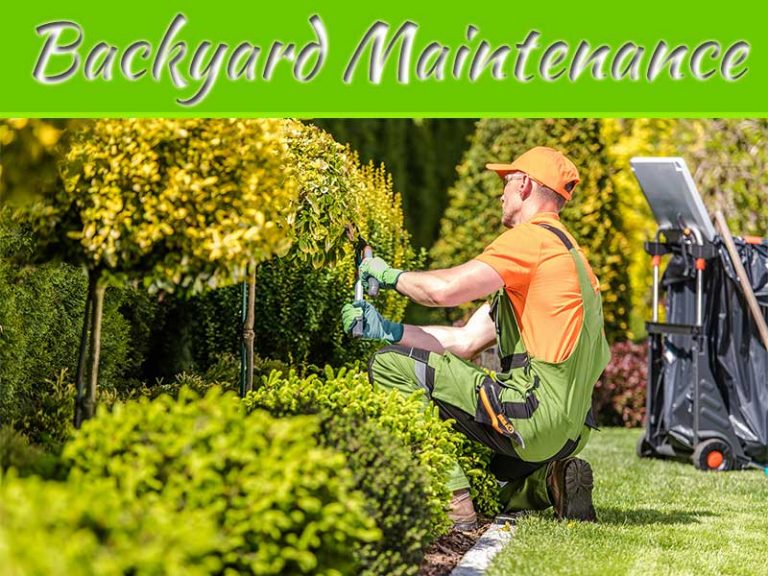 5 Year-Round Backyard Maintenance Tips