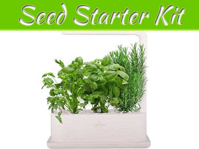 What Is A Seed Starter Kit?