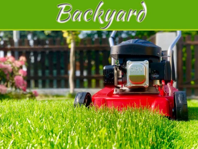 Maintain Your Yard For Optimal Foundation Health