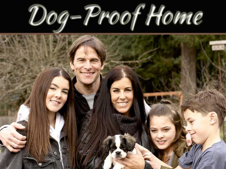 9 Good Ways To Dog-Proof Your Home When You Get A New Dog