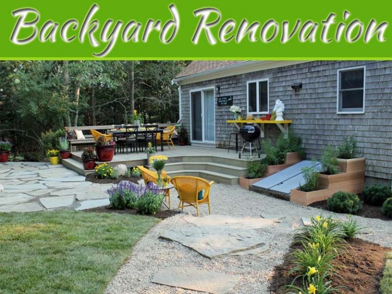 Backyard Renovation Ideas To Sprouce Up Your Space