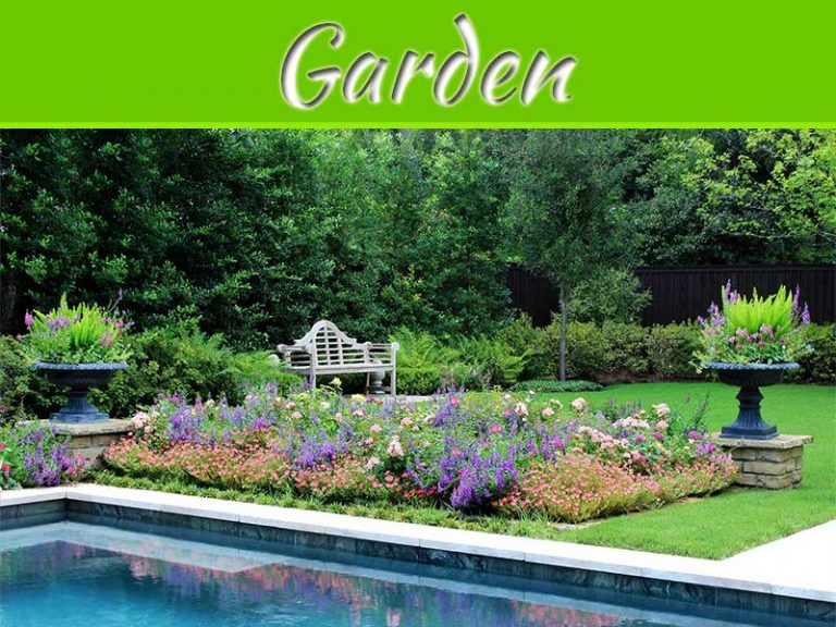 Fashionable Garden Ideas For This Summer