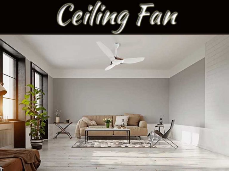 Top 5 Ceiling Fan Brands In India