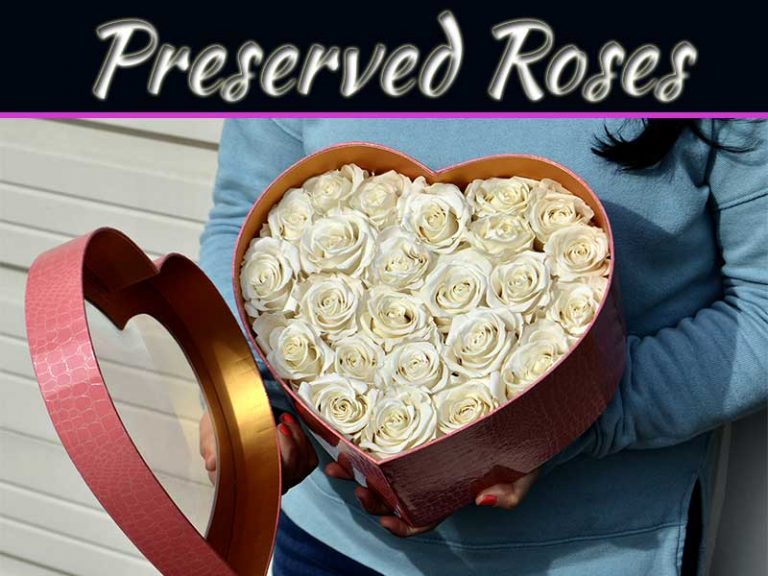 Why Preserved Roses Are The Best Choices For Your Wedding?