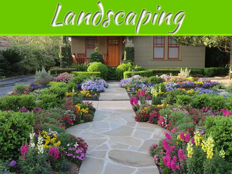 5 Landscaping Ideas To Improve The Curb Appeal Of Your Home