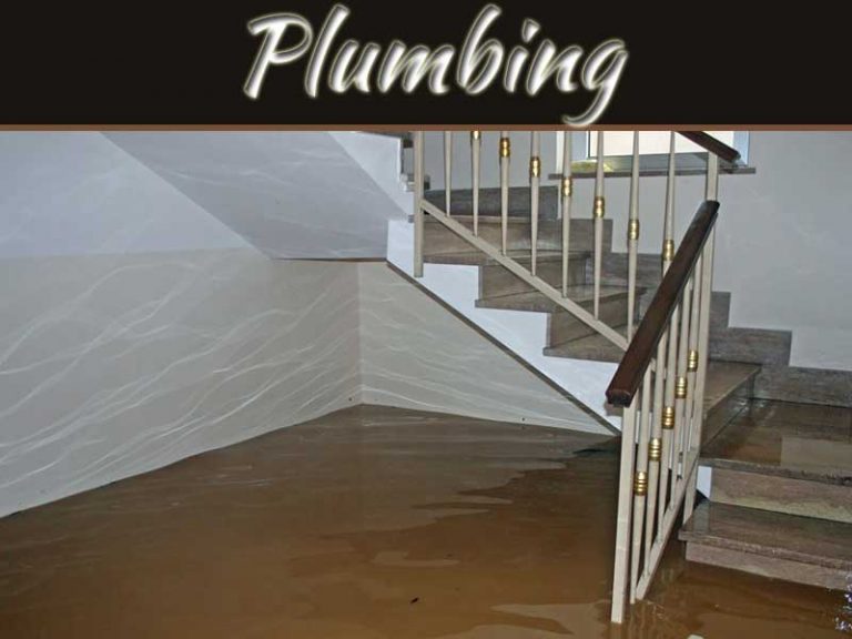 A Simple Guide On What Causes Sewage Backup In House And How To Prevent It