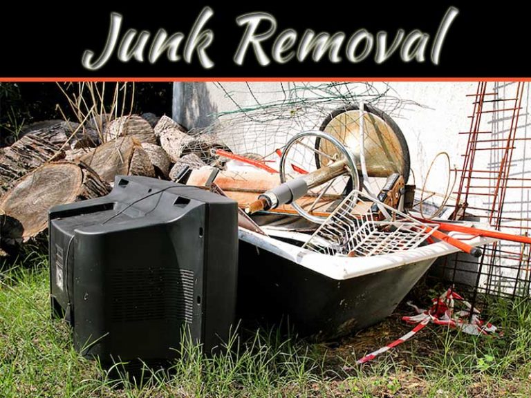 When Do You Need To Call Professional Junk Removal Services?