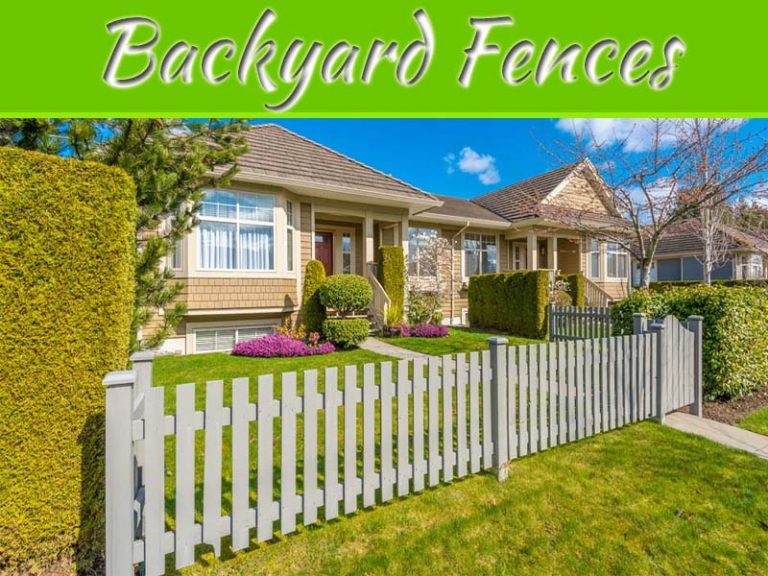 How To Choose The Perfect Fence For Your Huge Backyard?