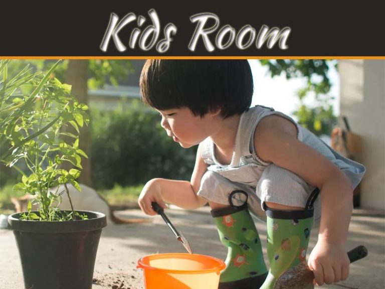 Top Five Plants For Your Kid’s Room