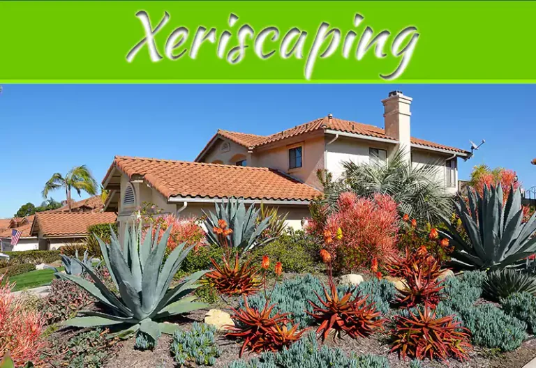 Xeriscaping: Pros And Cons Of Low-Water Landscaping