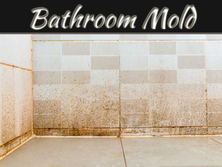 10 Reasons Why Your Bathroom Might Have Mold