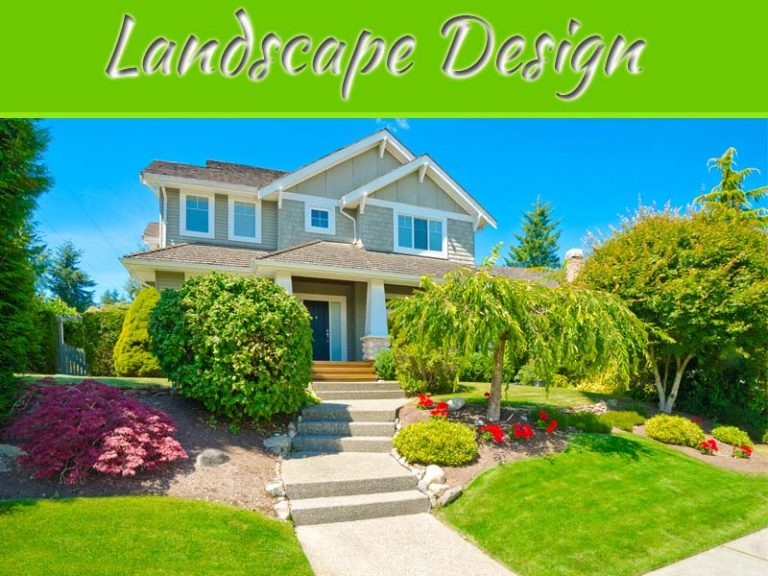 8 Steps To Take If You Want To Study Landscape Design