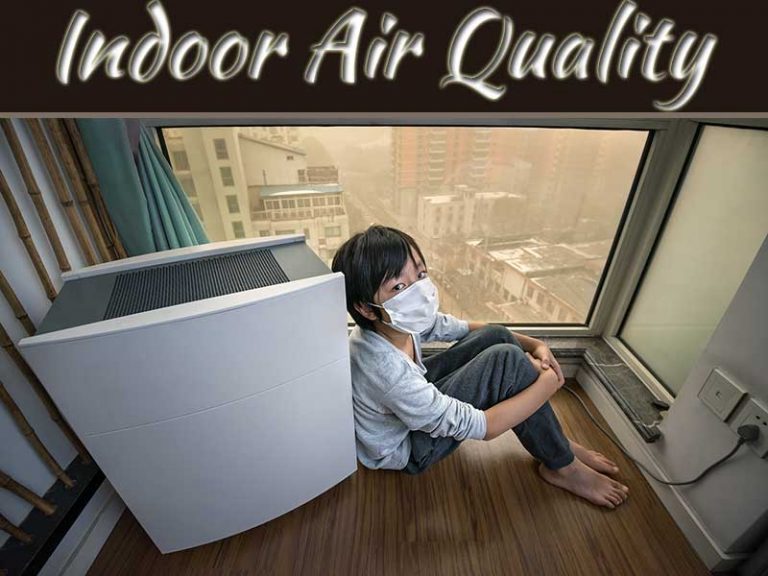 Tips To Improve Air Quality At Home