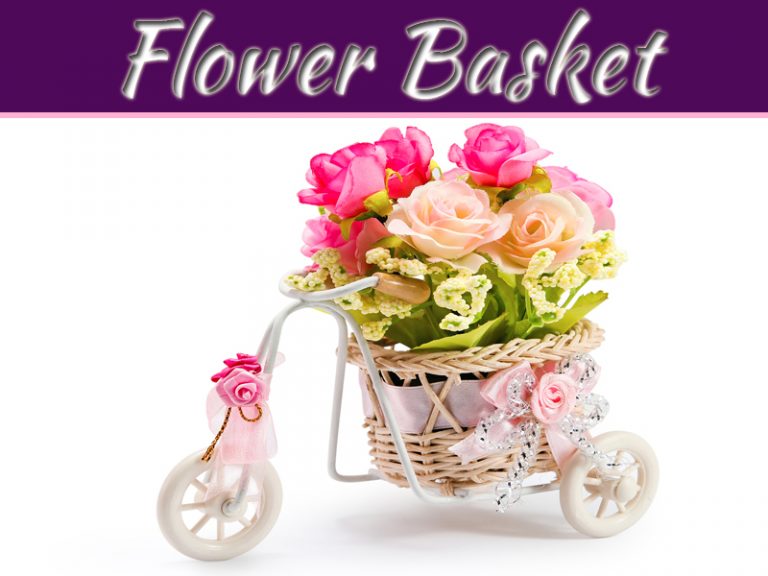 Top 6 Flower Baskets
