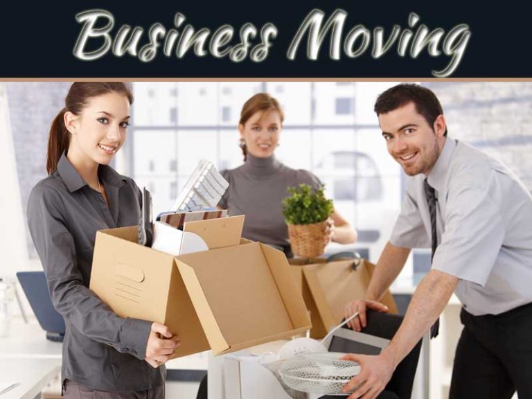 Why Businesses Are Moving To Miami?