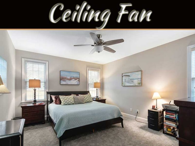 5 Things To Consider When Choosing A Ceiling Fan