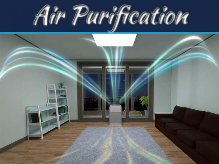 Air Purification Systems That Help Keep Your House Clean