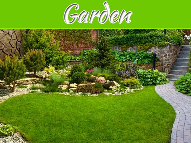 Simple Ways to Transform a Garden