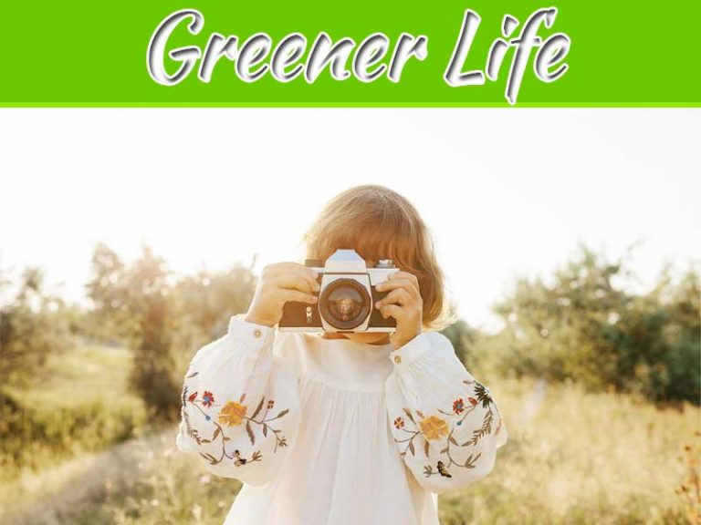 Top 4 Ways To Live A Greener Life