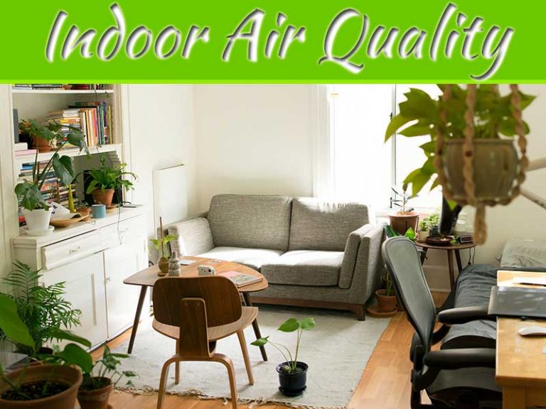 4 Ways To Improve Home Indoor Air Quality