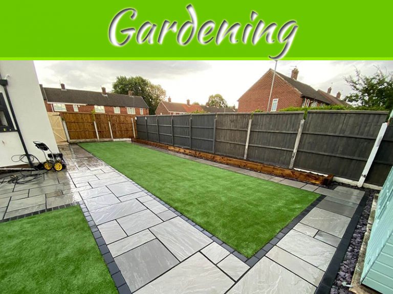 7 Common Gardening Questions Answered