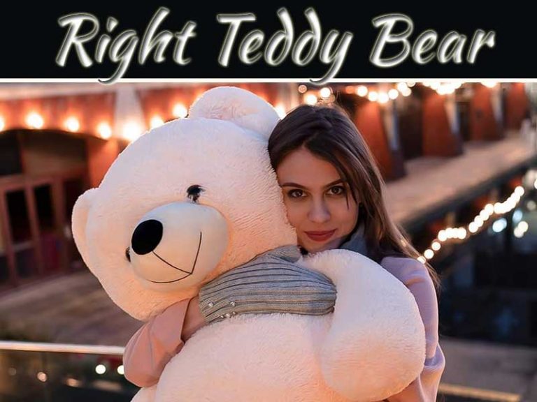 How To Choose The Right Teddy Bear For You?