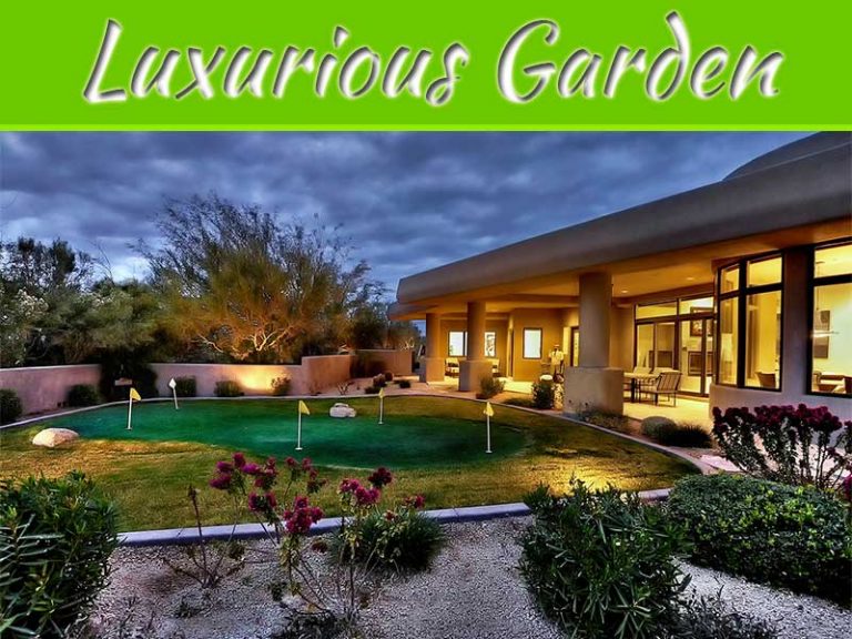 How To Make Your Garden Feel More Luxurious In 2022