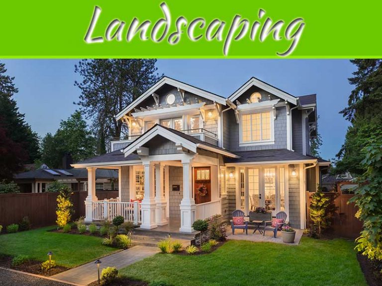 10 Easy And Low-Maintenance Front Yard Landscaping Ideas For Your Home!