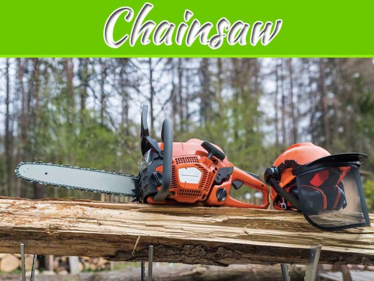 10 Important Points To Consider When Buying A Chainsaw
