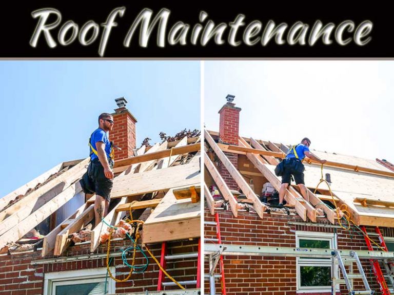 Ensure Healthy Roof: 7 Easy Care Tips For Excellent Roof Maintenance
