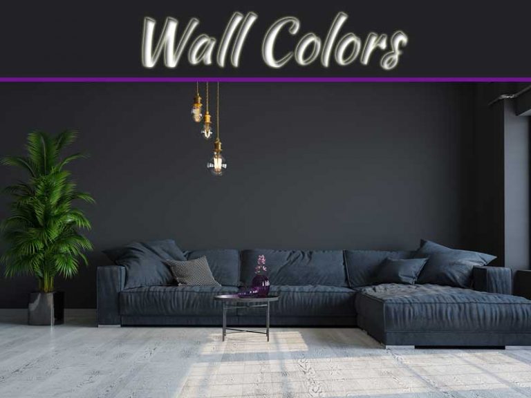 Neutrals Vs Colorful Walls: Which Is Best For Your Home?