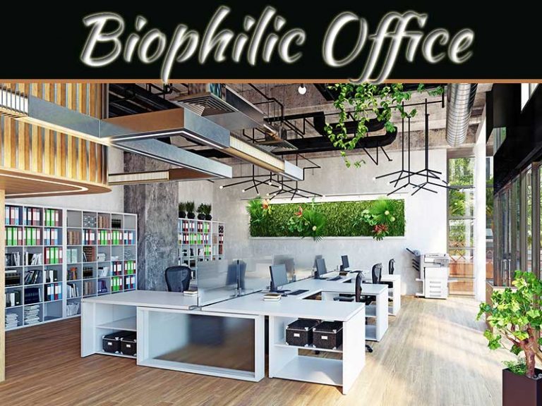 The Argument For A Biophilic Office