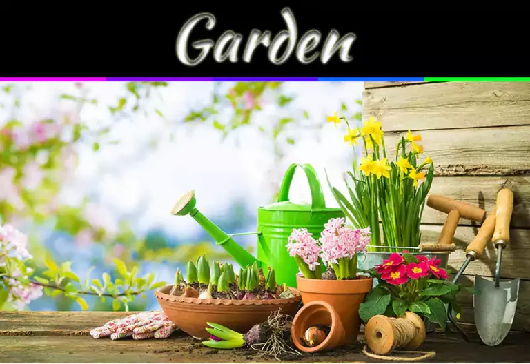 Transforming The Garden For Spring