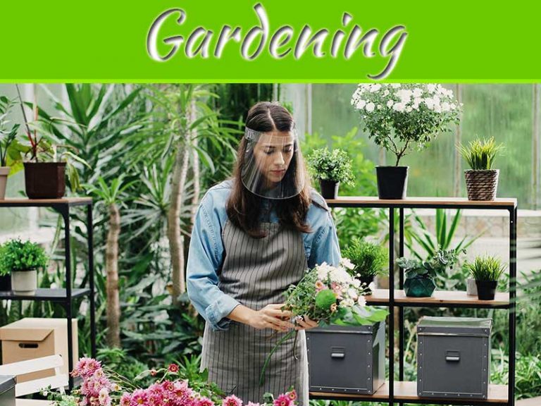 5 Things To Look For In A Face Shield For Gardening