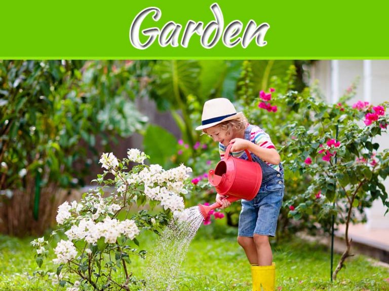 8 Outdoor Plants That Also Thrive Indoors